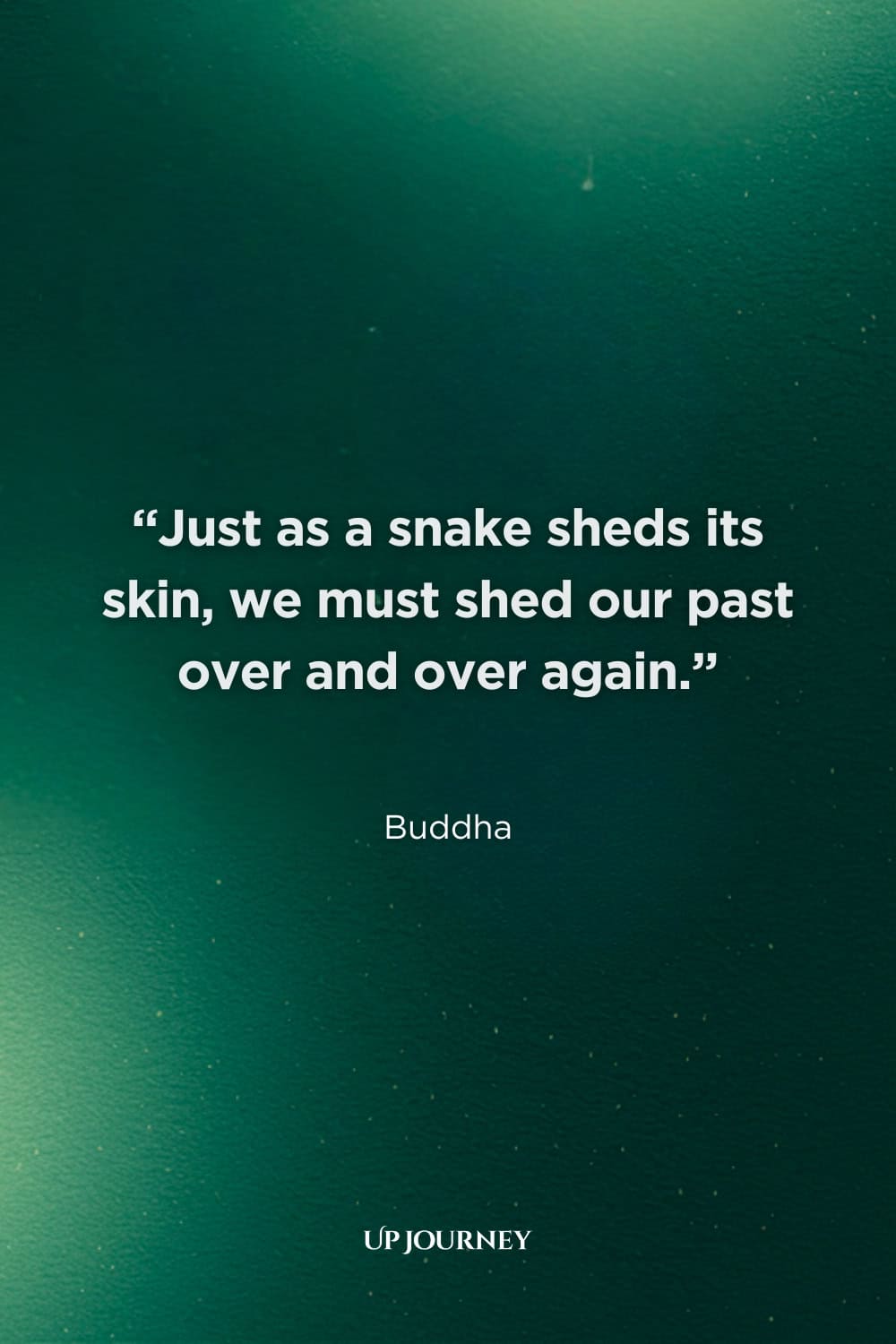 Inspirational Buddha Quotes: “Just as a snake sheds its skin, we must shed our past over and over again.”
